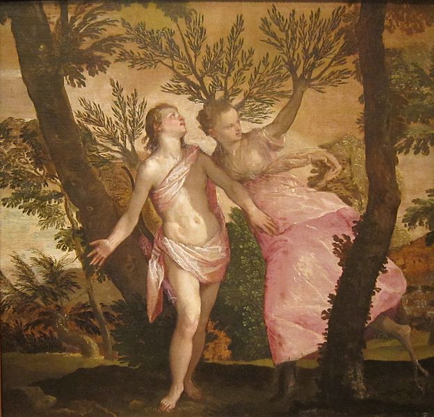 624px-Apollo_and_Daphne_by_Veronese,_San_Diego_Museum_of_Art.JPG